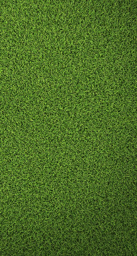 Grass Wallpaper Iphone, Wallpaper Iphone Nature, Grass Wallpaper, Office Wallpaper, Original Iphone Wallpaper, Simple Texture, 패턴 배경화면, Texture Mapping, Photoshop Textures