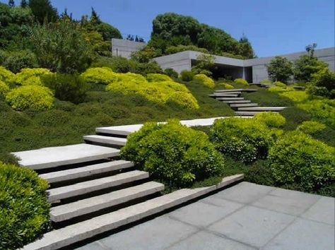 Landscape Stairs, Landscape Steps, Garden Stairs, Outdoor Steps, Sloped Garden, Garden Steps, Outdoor Stairs, Concrete Steps, Contemporary Garden