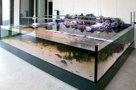 [Sponsored] Indoor Turtle Tank Setup Ideas For An Awesome Home Aquarium | Reptiles Aquarium | Turtle Pond Most Turtles Prefer To Spend The Majority Of Their Time In Tank Water. So, It Is Important To Create An Indoor Turtle Aquarium That Provides Both A Place For Your Turtle To Swim As Well As A Place To Bask In The Sun. #aquariumsetupideasrocks Turtle Tank Setup Ideas, Indoor Pond Ideas, Tank Setup Ideas, Fish Inspiration, Turtle Cage, Turtle Tank Setup, Fish Ponds Backyard, Aquarium Snails, Indoor Pond