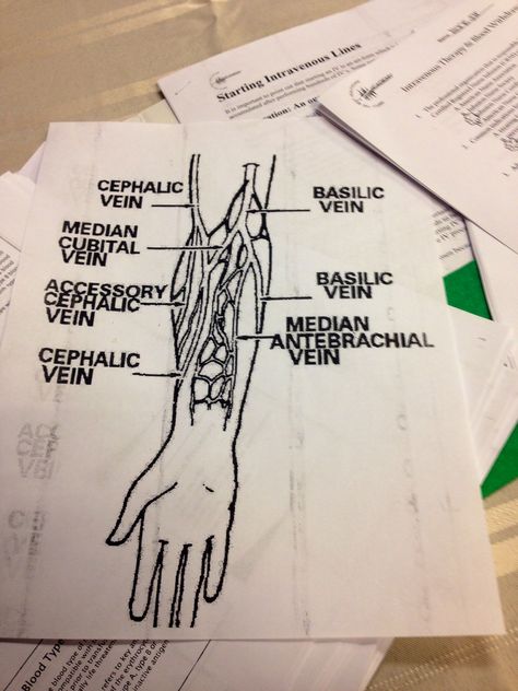 IV therapy. Veins & IV access sites. Work sheet from my IV certification class. Iv Infusion Nursing, Iv Placement, Iv Sites, Iv Certification, Electrolytes Nursing, Nursing Iv, Infusion Nurse, Nursing Skills, Medical Assistant Student