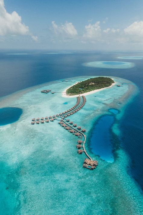 Travel Maldives Aesthetic, Maldives Culture, Aesthetic Snorkeling, Maldives Snorkeling, Snorkeling Aesthetic, Maldives Pictures, Maldives Activities, Maldives Country, Snorkeling Pictures