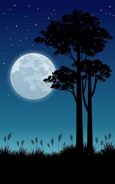 Night Scene Painting, Moon And Trees, Butterfly Tree, Moon Painting, Anime Wallpaper Phone, Beautiful Night, Night Scene, Tree Drawing, Night Painting