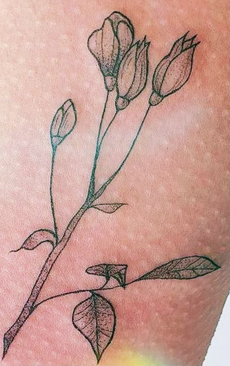 Rose Bud Vine Tattoo, Flower Bud Tattoo, Rose Bud Drawing, Rosebud Tattoo, Bud Tattoo, Rose Bud Tattoo, Pearl Tattoo, Rose Outline, Vine Tattoo