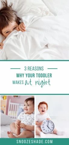 Three Reasons Why Your Toddler Wakes at Night Toddler Bed Boy, Kid Bed, Toddler Schedule, Co Sleeping, Big Kid Bed, Sleep Training Baby, Toddler Development, Big Move, Toddler Sleep