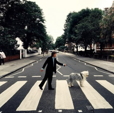 Wings Paul Mccartney, Abbey Road Beatles, Album Cover Photoshoot, Abbey Road London, Paul Mccartney Live, Abbey Road Crossing, Cover Photoshoot, Road Crossing, Paul Mccartney Beatles