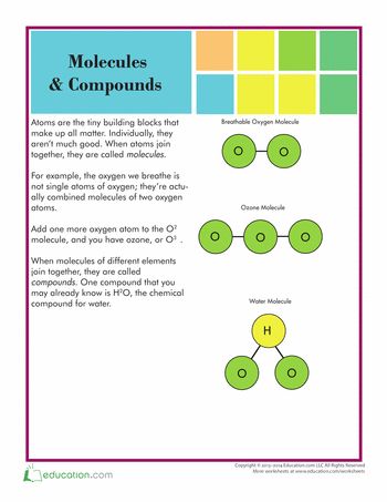 Molecules and Compounds | Education.com Atoms And Molecules For Kids, Atoms And Molecules, Science Stickers, Matter Science, Chemistry Notes, 5th Grade Science, Science Worksheets, Resume Template Word, Physical Science