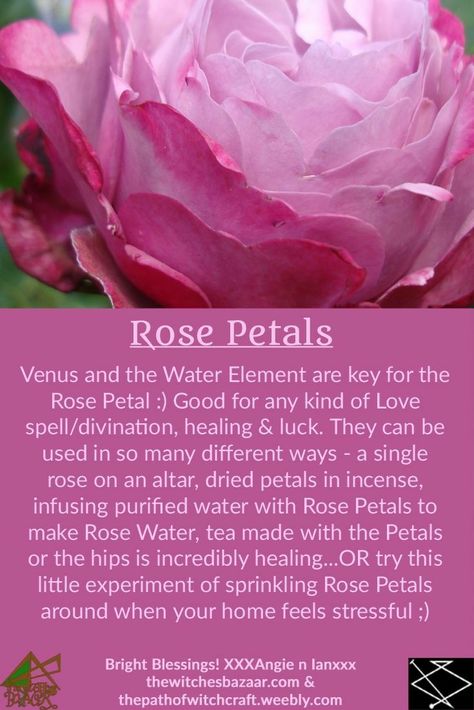 Rose Petal Uses Witchcraft, Rose Petal Uses, Love Witchcraft, Course Landing Page, Flower Of Love, Magickal Herbs, Witch Herbs, Green Witchcraft, Rose Love