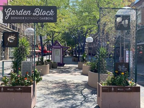 16th Street Mall (Denver) - 2020 All You Need to Know BEFORE You Go (with Photos) - Tripadvisor 16th Street Mall Denver, Garden Blocks, Denver Botanic Gardens, Street Mall, Denver Colorado, Shopping Mall, In The Heart, Denver, Trip Advisor