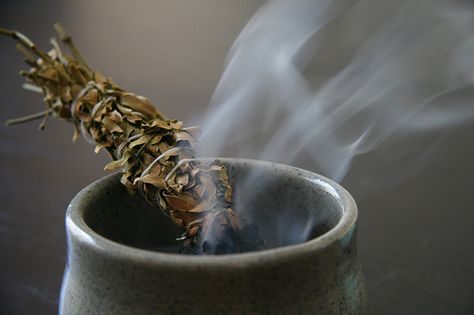 Herbs and sweet smells will awaken your spirit! Benefits Of Burning Sage, Burn Sage, African Herbs, Money Spells That Work, Burning Sage, Meditation Decor, Sage Leaves, Cleansing Crystals, Zen Meditation