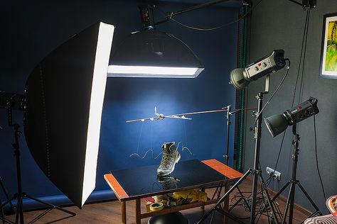 09 Small Photography Studio, Photography Lighting Techniques, Product Lighting, Lighting Diagram, Photography Lighting Setup, Almaty Kazakhstan, Independent Study, 광고 디자인, Object Photography