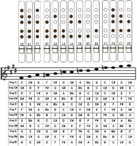 Catori-Helki Healing,How To Play Native American style Flutes Flute Fingering Chart, Wood Flute, Native American Songs, Penny Whistle, Native American Flute Music, Native Flute, Music Math, Native American Music, Medieval Music