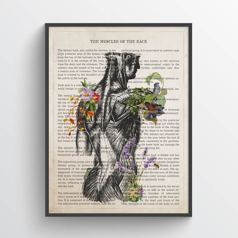 Muscles of the Back Anatomy Print Chiropractor Gift Licensed - Etsy Australia Back Anatomy, Muscles Of The Back, Anatomy Of Human, Therapy Decor, Flower Anatomy, Chiropractor Gifts, Back Muscle, Hospital Clinic, Human Pictures