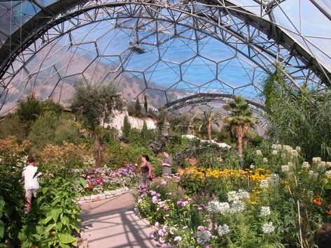 Eden Project - Cornwall Lattice Architecture, Rainforest Biome, Architecture Pictures, Large Greenhouse, Eco City, Eden Project, Geodesic Dome, Green City, Perfect Photos