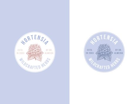 Hortensia - Logo Design for Organic Hydrangea Products Hydrangea Logo Design, Hydrangea Character Design, Hydrangea Symbolism, Hydrangea Illustration, Hydrangea Vintage Illustration, Idea Logo, Farm Clipart, Logo Cake, Startup Logo