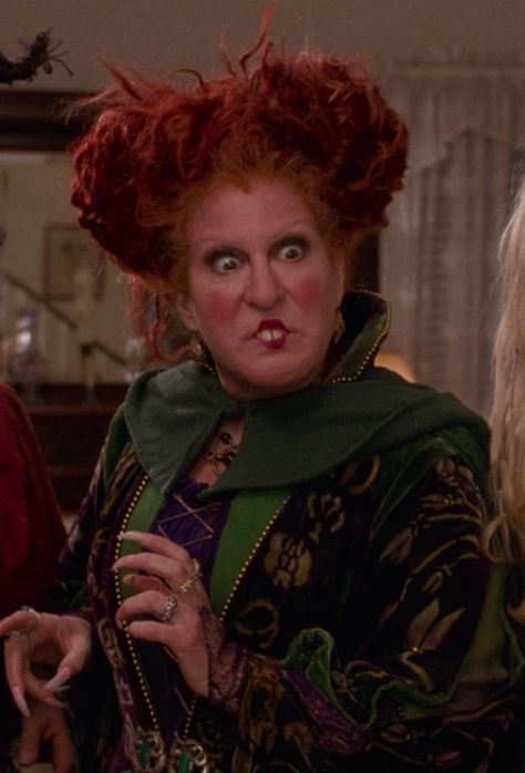 Hocus Pocus Widget Pictures, Hocus Pocus Pictures, Sanderson Sisters Silhouette, Hocus Pocus Drawing, Bette Midler Hocus Pocus, Winnie Hocus Pocus, Winnifred Sanderson, Hocus Pocus Aesthetic, Winnie Sanderson