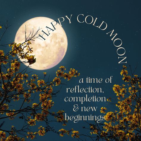 Christmas Full Moon, December Cold Moon, Cold Full Moon, Full Cold Moon, Forest Witchcraft, January Full Moon, December Full Moon, Moon Gemini, Happy Full Moon