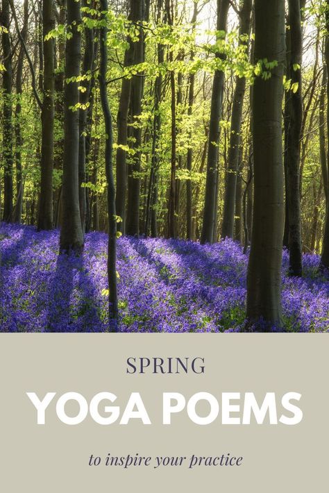 Need some poetry to inspire your yoga practice this spring? Or looking for poems to read in your yoga classes? Here's a list of ones that have been popular with my students and have inspired me in my own practice. Spring Yoga Quotes, Yoga Poems, Yoga Journaling, Yoga Readings, Yoga Class Themes, Yoga Reading, Yoga Certification, Spring Yoga, Yoga Themes