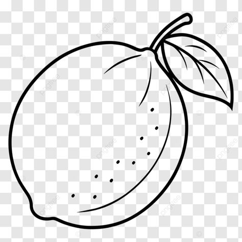 lemon illustration black and white outline coloring page vector lemon drawing black and white lemo Lemon Sketch, Lemon Illustration, Lemon Drawing, Black And White Outline, Illustration Black And White, Drawing Black And White, Drawing Vector, Drawing Black, Vector File