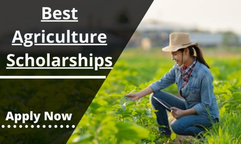 Best Agriculture Scholarships Agriculture Scholarships, College Subjects, High School Subjects, Graduate Scholarships, College Goals, Soil Conservation, Senior Student, Student Scholarships, Public High School