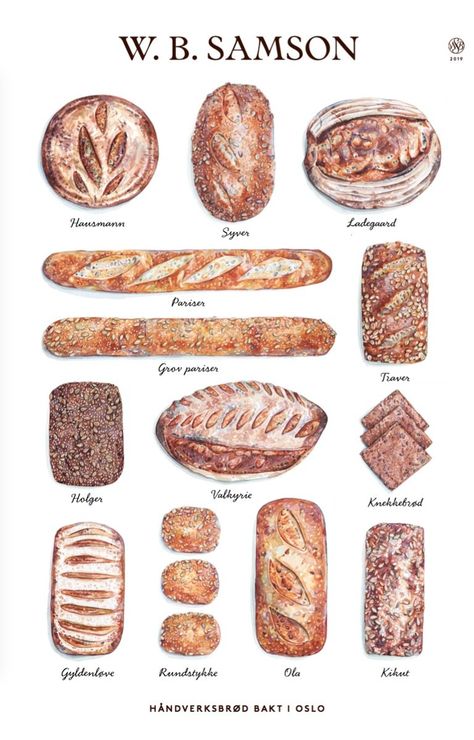 Watercolour Bread Illustrations - Holly Exley Illustration Holly Exley, Food Calorie Chart, Bread Packaging, Bread Shop, 귀여운 음식 그림, Bakery Desserts, Illustration Food, Bakery Bread, Fair Food Recipes