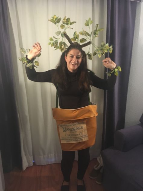 Harry Potter mandrake fancy dress Harry Potter Fancy Dress Ideas, Diy Mandrake Costume, Hagrid Costume For Women, Harry Potter Party Outfit, Easy Harry Potter Costume, Mandrake Costume, Harry Potter Quidditch Costume, Diy Harry Potter Costume, Graduation Jokes