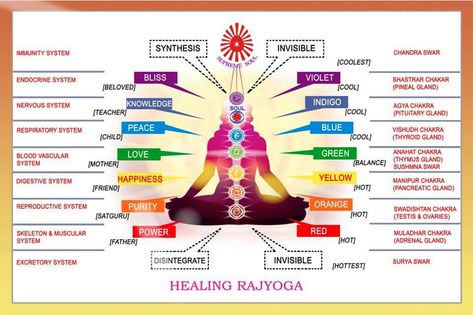 Chromotherapy and The Benefits of Colour Therapy Rajyoga Meditation, Explore Drawing, 7 Chakras Meditation, Painting Basics, Color Therapy Healing, Excretory System, Colour Therapy, Color Healing, Easy Meditation