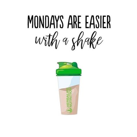 I couldn’t agree more! 💚 . . . . . . . #happymonday #mondaymotivation #motivationmonday #instamotivation #mondays #mondaymood #mondaymorning #workoutflow Herbalife Quotes, Nutrition Day, Herbalife Motivation, Herbalife Business, Herbalife Nutrition Club, Herbalife Shake Recipes, Herbalife Distributor, Nutrition Club, Nutrition Quotes