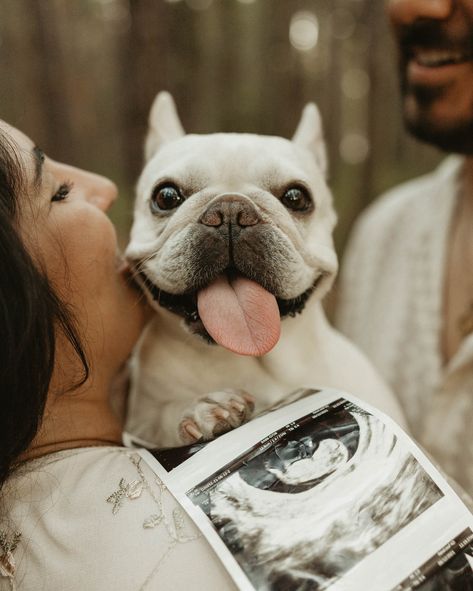 When my clients told me they brought their dog with them I was so excited 🥹! Love including your dogs in your sessions! 🥰 #dogphotography #dogphotoshoot #announcement #pregnancyannouncement #maternityphotography #tampaphotographer #flphotographer #stpetephotographer #gpresets #authenticlovemag #unscriptedposingapp #creativephotography #photographyideas #dogsofinstagram #pregnancyphotoshoot Dog Maternity Shoot Ideas, Maternity Photo Shoot Ideas Dog, Pregnant Photoshoot With Dog, Maternity Photography Ideas With Dog, Maternity Photography Poses With Dogs, Pregnancy Announcement Photoshoot With Dog, Fall Pregnancy Announcement With Dog, Maternity Photo Shoot Ideas With Dog, Pregnant Announcement Photoshoot