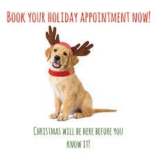 22 days away! Call now to book your grooming appointment before Christmas arrives! 281-361-4300 Christmas Promo, Grooming Business, Inspirational Board, Dog Grooming Business, Days Before Christmas, Grooming Salon, Appointments Available, Book Your Appointment, Christmas Dog