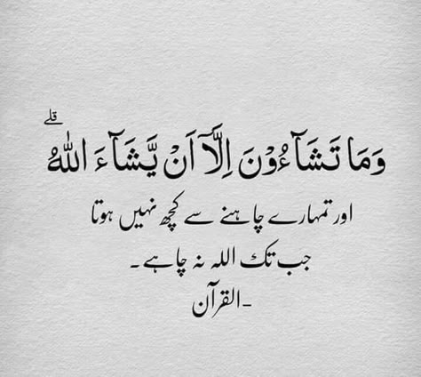 Haidar Ali, Ayat Quran, Best Islamic Quotes, Ayat Al-quran, Hadith Quotes, Learn Quran, Ali Quotes, Allah Quotes, Urdu Quotes With Images