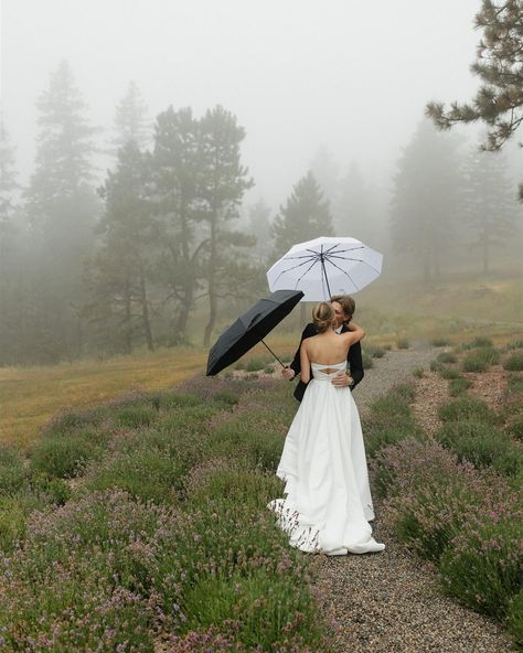 Love in a foggy lavender field w the Swansons 🦢 Lavender Field Proposal, Cloudy Engagement Pictures, Field Proposal, Engagement Photos Lavender Field, Photos In Lavender Field, Lavender Field Wedding Photos, Twilight Lavender Field, Lavender Field, Lavender Fields