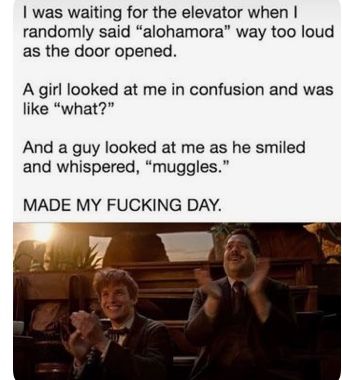 Muggle Meme Harry Potter, Citate Harry Potter, Glume Harry Potter, Funny Harry Potter Jokes, Harry Potter Memes Hilarious, Harry Potter Feels, Harry Potter Puns, Harry Potter Images, Potter Facts