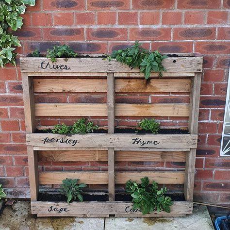 Pallet Herb Planter, Victorian Yard, Allotment Inspiration, Herb Garden Outdoor, Pallet Herb Garden, Hanging Herb Gardens, Raised Herb Garden, Communal Garden, Marquee Party