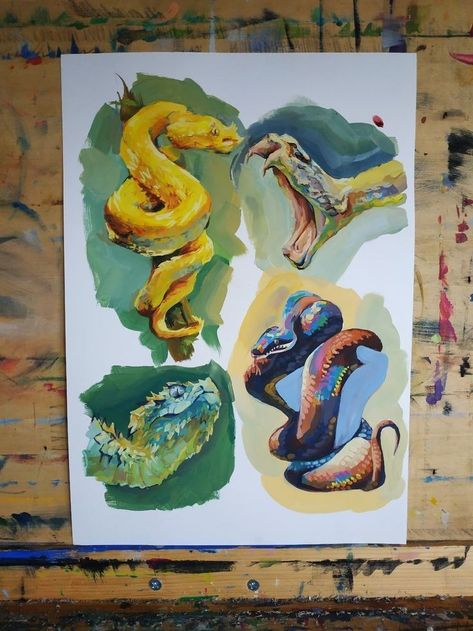 Reptile Drawings, Gouache Art, Arte Sketchbook, Ap Art, Sketchbook Inspiration, Art Inspiration Painting, Gouache Painting, Art Studies, Art Journal Inspiration