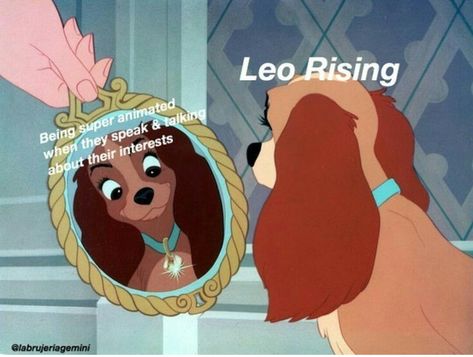 Leo rising Leo Rising Appearance, Leo Rising Aesthetic, Leo Core, Leo Szn, Leo Quotes, Sagittarius Moon, Leo Rising, Gemini Rising, Swiss Cheese