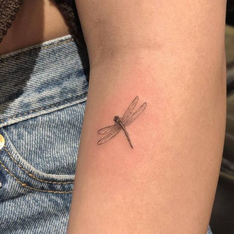 Micro-realistic dragonfly tattoo on the forearm. Small Dragonfly Tattoo, Bug Tattoo, Petite Tattoos, Dragonfly Tattoo, Discreet Tattoos, Dainty Tattoos, Subtle Tattoos, Elegant Tattoos, Little Tattoos