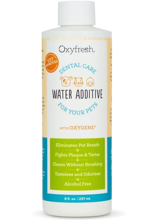 FRESH PET BREATH say good-bye to dog and cat bad breath. It’s the best, quick & easy cat & dog breath freshener. CLEAN TEETH AND GUMS The easiest way to clean your pet's teeth! Our veterinarian recommended cat and dog oral care water additive helps fight plaque and tartar for healthy teeth and gums. SKIP THE BRUSHING no more wrestling with pet toothpaste and toothbrushes; just add a capful of our cat and dog dental care liquid to their water bowl each day Homemade Dog Treats For Bad Breath, Diy Dog Toothpaste For Bad Breath, Cat Hygiene Tips, Diy Dog Dental Water Additive, Kitty Care, Bad Dog Breath, Breath Freshener, Dog Dental Health, Pet Dental Care