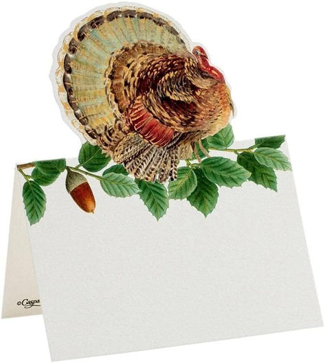 Paper Beautiful artwork coordinates with Caspari's tabletop collections Fold in half; Stands on its own as a tent shape Includes 8 Classic Fold Place Cards Each card measures 3.5 x 2.25 inches Printed in the USA Wedding Table Placement, Colorful Table Setting, Thanksgiving Entertaining, Create Name, Turkey Decor, Thanksgiving Place Cards, Set Table, Thanksgiving Table Decorations, Christmas Crackers