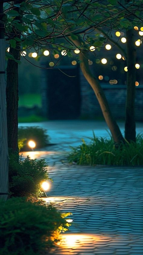 Garden Night Aesthetic, Blooming Backyard, Astetic Pictures, Night Photo Background, Charleston Beaches, Red Background Images, Galaxy Images, Desktop Background Pictures, Scenery Photos