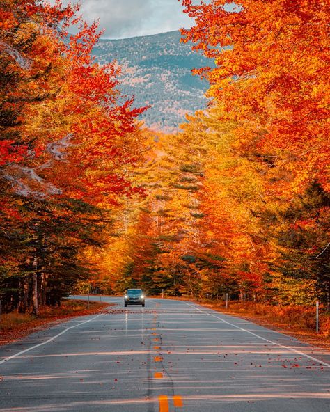 Happy first day of autumn 🍂 everyone ! It’s time to crush some goals , find some leaves 🍁 or both. Whatever season you’re in, whether… | Instagram Vermont Farms, North Georgia Mountains, Georgia Mountains, New England Fall, Autumn Drives, Colorful Trees, White Mountains, Autumn Scenery, North Georgia