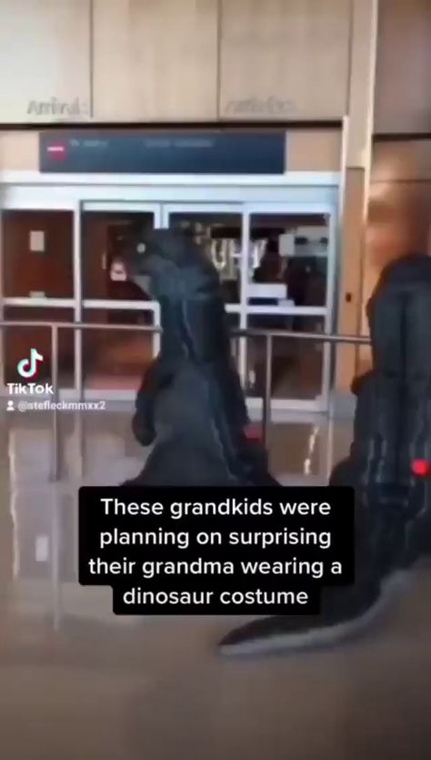 These grandkids were planning on surprising their grandma wearing a dinosaur costume - ) Funny Dinosaur Costume, Funny Dinosaur, Dinosaur Costume, Dark Art Drawings, Best Pics, A Dinosaur, Animal Quotes, Just For Laughs Videos, Happy Place