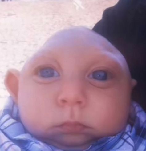 bald baby, blue eyes, funny, supposed to be random whether than real focused on. Funny Pix, Funny Hats, Goofy Pictures, Very Funny Pictures, Extremely Funny Jokes, Silly Pictures, Funny Reaction Pictures, Really Funny Joke, Quick Jokes