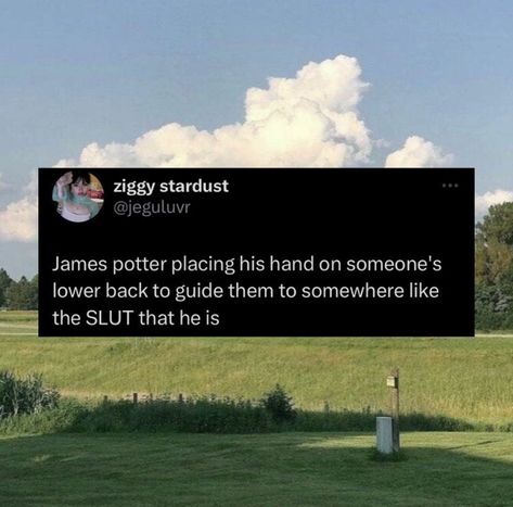 Marauders Canon, Marauders Twitter Posts, Marauders Fic Recs, Wolfstar Memes, Marauders Fan Art, Gay Harry Potter, Marauders Memes Hilarious, Harry Potter Ships, All The Young Dudes