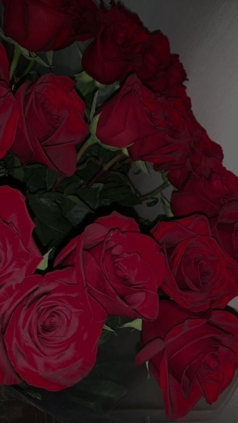 Reminder To Myself, Whatsapp Wallpapers Hd, Rose Flower Photos, Red Roses Wallpaper, Flowers Instagram, Aesthetic Roses, Red Rose Bouquet, Nothing But Flowers, Flower Therapy