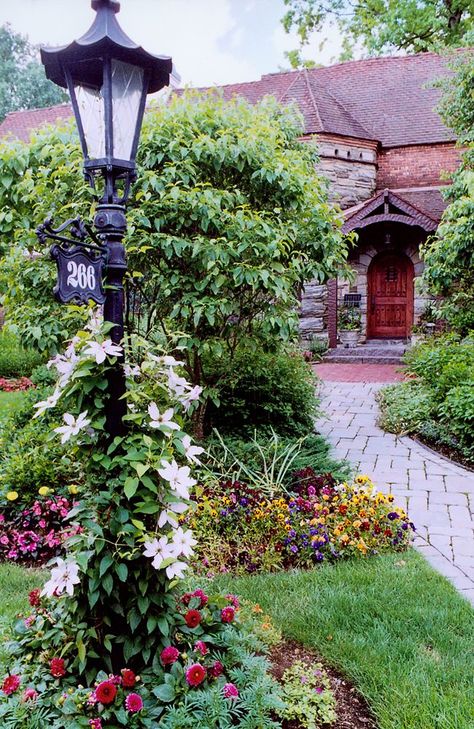 Dos and Don’ts of Front Yard Landscape Mailbox Landscape, Gorgeous Landscaping, Mailbox Landscaping, Valley Cottage, Front Yard Landscape, Flowers Growing, Surrounded By Flowers, Front Yard Ideas, Landscape Edging