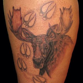 had to repin. Moose Skull Tattoo, Face Tattoo Drawing, Moose Tattoos, Skull Tattoo Meaning, Wishbone Tattoo, Moose Skull, Moose Tattoo, Moose Painting, Moose Pictures