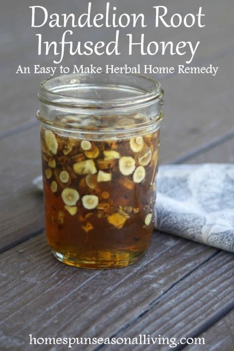 #natural Infused Honey, Body Flush, Foraged Food, Herbal Recipes, Herbal Tinctures, Dandelion Root, Herbal Healing, Dandelion Recipes, Herbs For Health