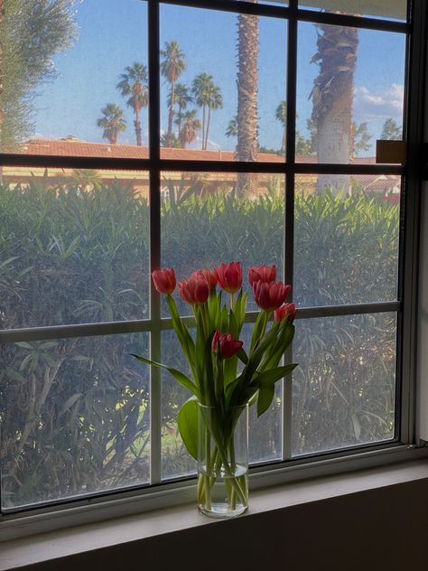 flowers on windowsill, pink tulips, bloomed flowers Flowers On The Windowsill, Flowers On Window Sill, Windowsill Aesthetic, Tulip And Book Aesthetic, Windowsill Plants Aesthetic, Tulips And Books Aesthetic, Tulips Vase Aesthetic, Tulip Aesthetic, Palette Challenge