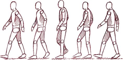 Moving onto the four legged walk cycles will be a lot more difficult. Description from crickymck.wordpress.com. I searched for this on bing.com/images Walking Reference, Drawing Walking, Movement Drawing, Gesture Drawing Poses, Walking Animation, Walking Poses, Person Drawing, Sketch Poses, Animation Sketches