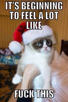 Grumpy cat lol Grumpy Cat Memes, Grumpy Cat Christmas, Grumpy Cat Meme, Grumpy Cat Quotes, Grumpy Cats, Cat Jokes, Meme Comics, Sarcastic Jokes, Grumpy Cat Humor